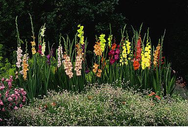 距离发售仅剩一周！倒计时企划将于9月13日（周六）正式启动！ 